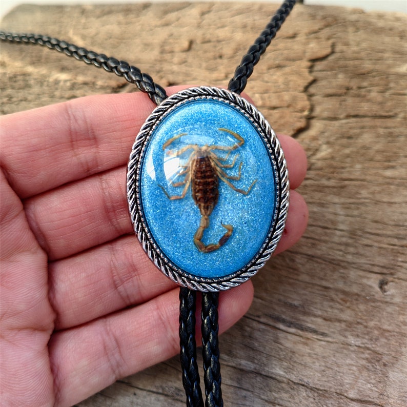 Blue Real Scorpion Bola Bolo Tie